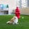 pet area on green turf